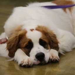 photograph by PeterW